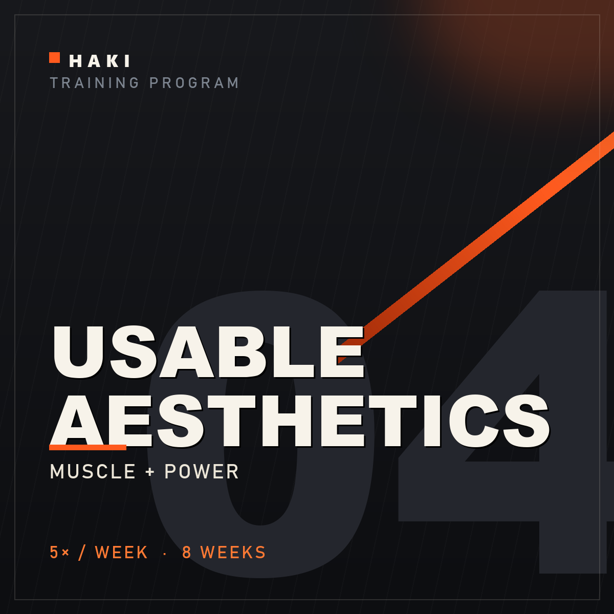Usable Aesthetics training program cover